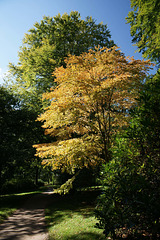 Autumnal Colours At Stourhead