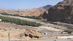 LR-1040235