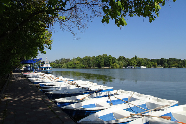 Rowing Boats On Herastrau Lake