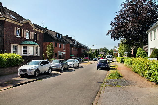 Am Schölzbach (Dorsten) / 27.05.2023