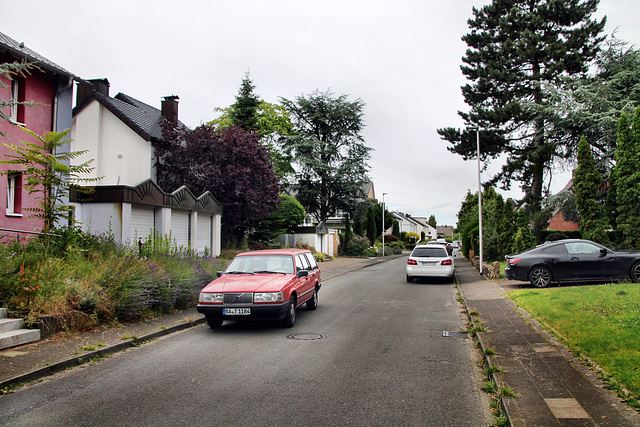 Von-Galen-Straße (Hamm) / 6.07.2024