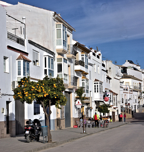 Olvera