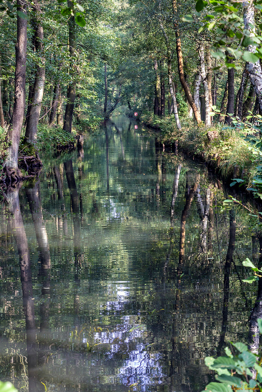 Fließe im Spreewald