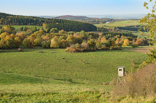 Ausblick vom Döhmberg