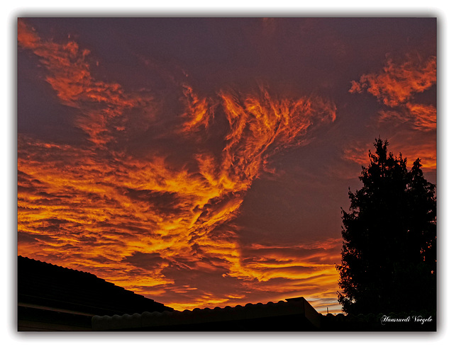Abend Rot