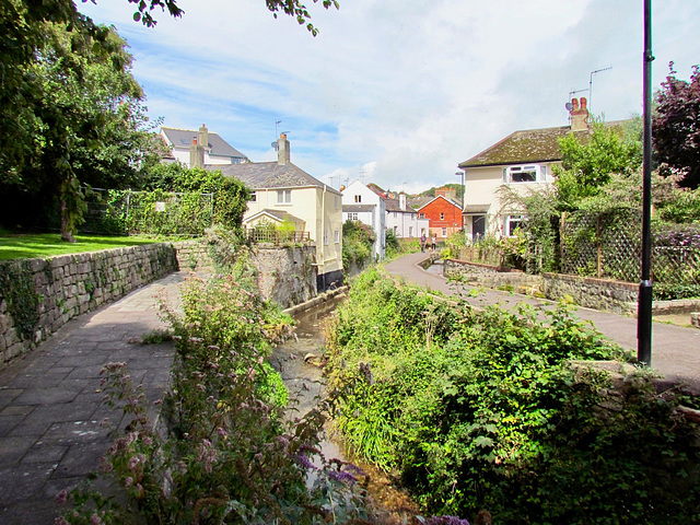 The Lynch, Lyme Regis