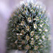 DSCF0639