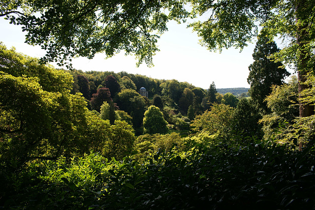 Looking Through The Trees To The Temple Of Apollo