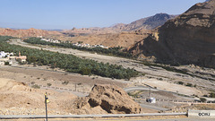 LR-1040236