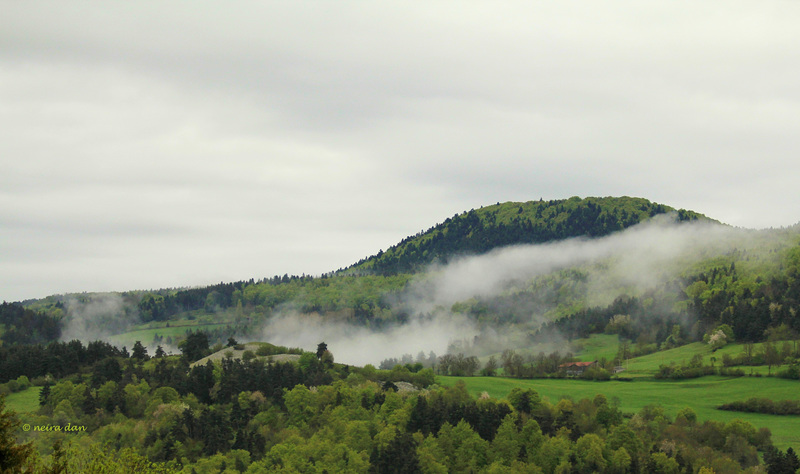 Après la pluie