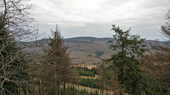 Brocken vom Wurmberg aus gesehen.