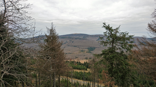 Brocken vom Wurmberg aus gesehen.