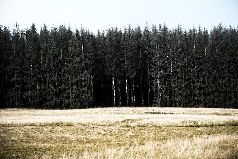 20230814_benneckenstein moserteich