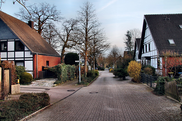 Am Eulenhof (Schwerte-Geisecke) / 9.03.2024