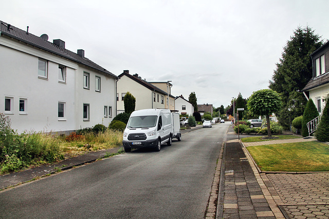 Von-Galen-Straße (Hamm) / 6.07.2024