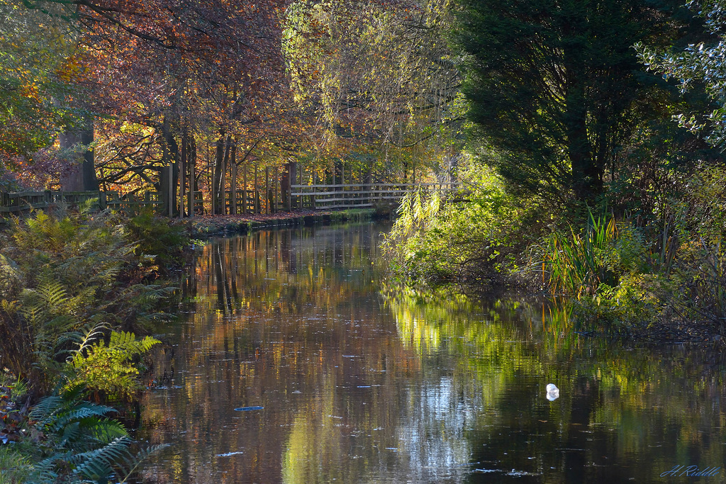 Canal colours at Greenfield