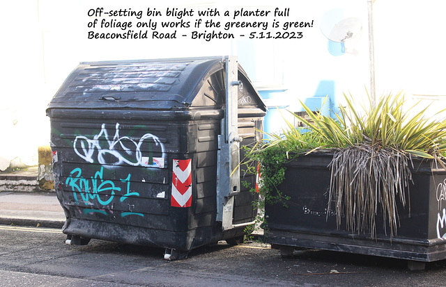 Failing foliage doesn't brighten bin blight Brighton 5 11 2023