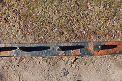 Happy Fence Friday!