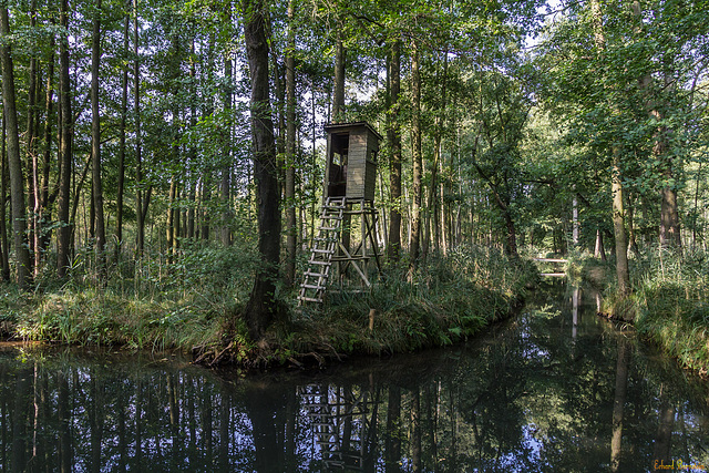 Fließe im Spreewald