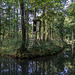 Fließe im Spreewald
