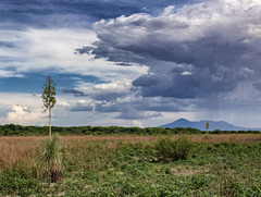 Sierra de San José Mountain