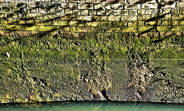 Wall on The Ouseburn 2