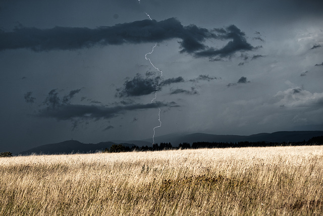 20230814_benneckenstein moserteich