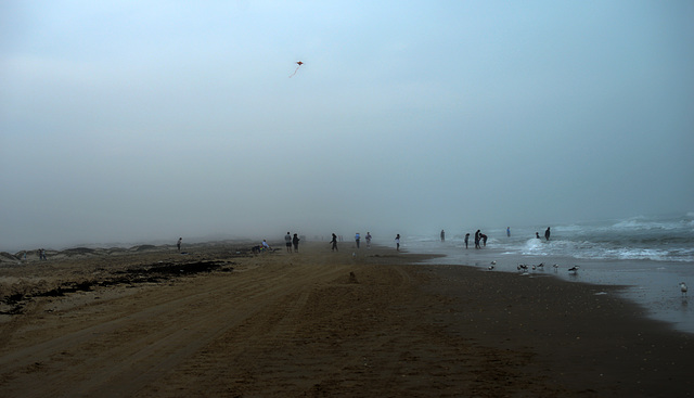 Vela al Viento