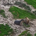 sea lions!