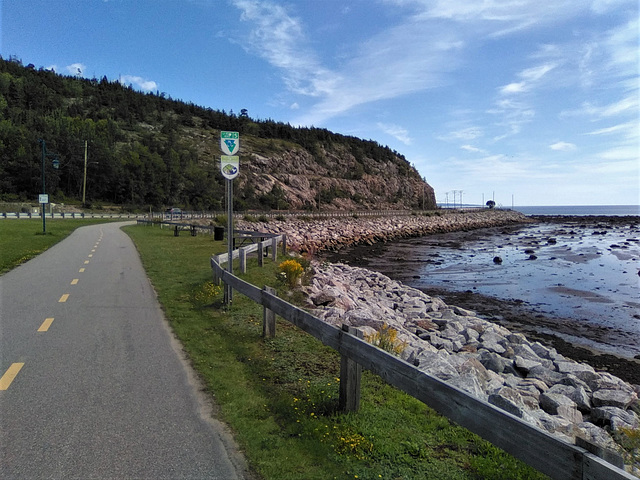 La route verte / The green road