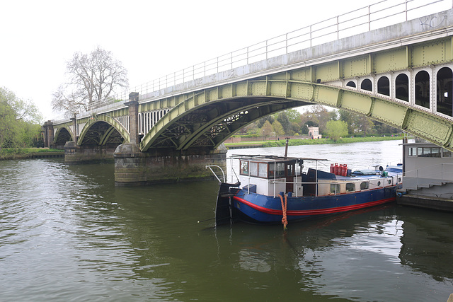 The Thames Path - Teddington to Kew Bridge, north bank