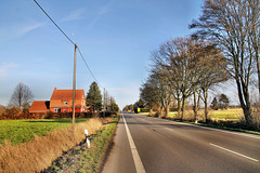 B1 Werler Straße (Unna-Mühlhausen) / 12.02.2022