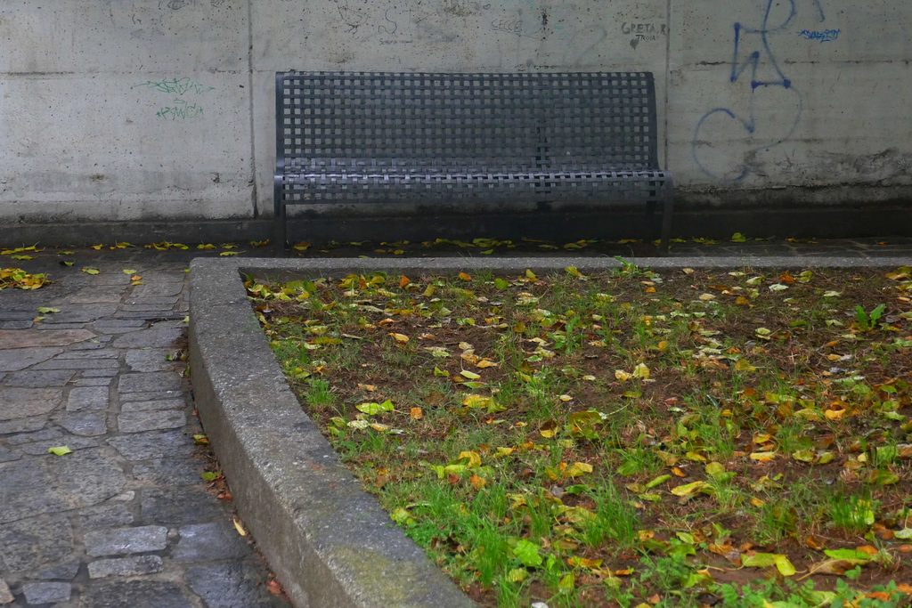 autumnal bench