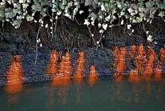 Wall on The Ouseburn 1 Wall on The Ouseburn 1