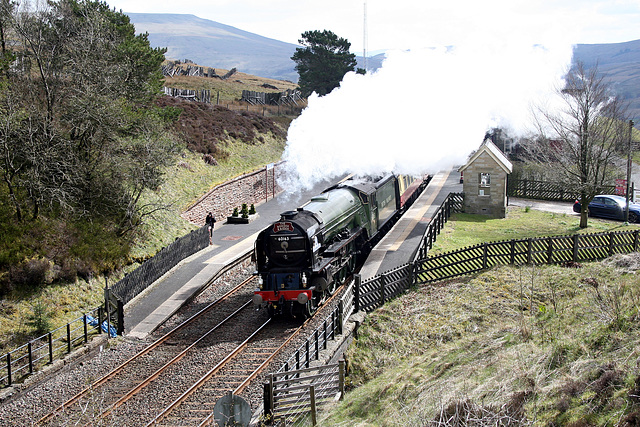 A1 Trust LNER class A1 4-6-2 60163 TORNADO at Dent Station with 1Z68 07.48 Birminghm N.S - Carlisle `The Border Raider` 13th April 2019. (steam on from Crewe)