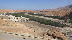 LR-1040239