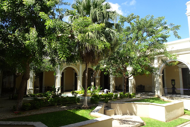 Museo Casa Montejo Gardens