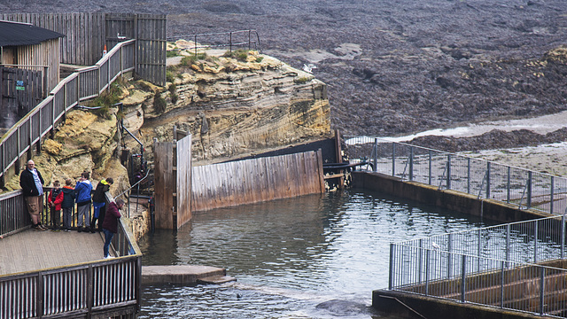 St Andrews Aquarium