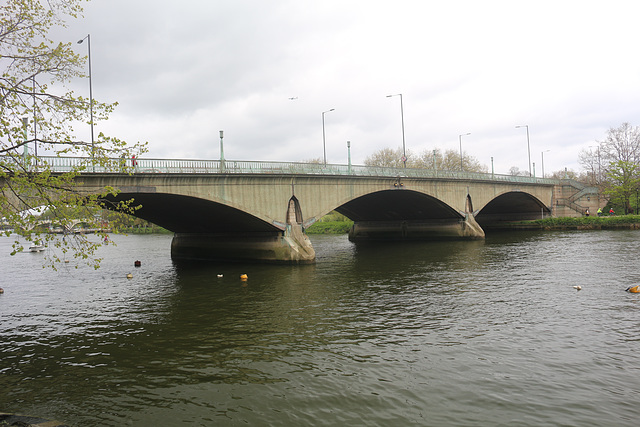 The Thames Path - Teddington to Kew Bridge, north bank