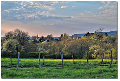 232 Millery église en saisons. (  Printemps. )