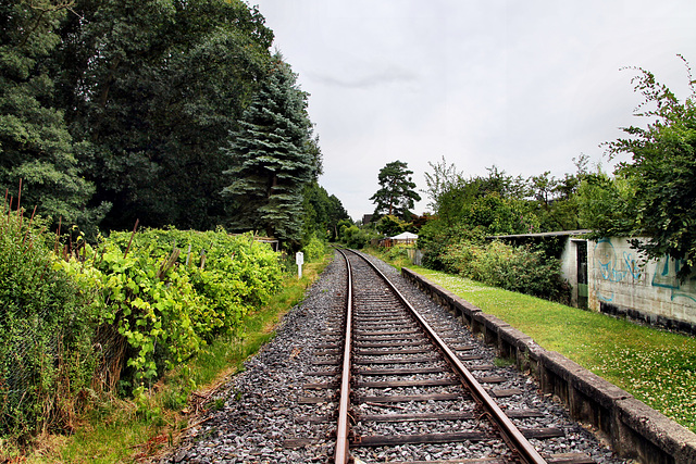 Bahnstrecke Hamm–Lippborg, ehemaliger Haltepunkt Pilsholz (Hamm) / 6.07.2024