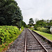 Bahnstrecke Hamm–Lippborg, ehemaliger Haltepunkt Pilsholz (Hamm) / 6.07.2024