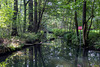 Fließe im Spreewald