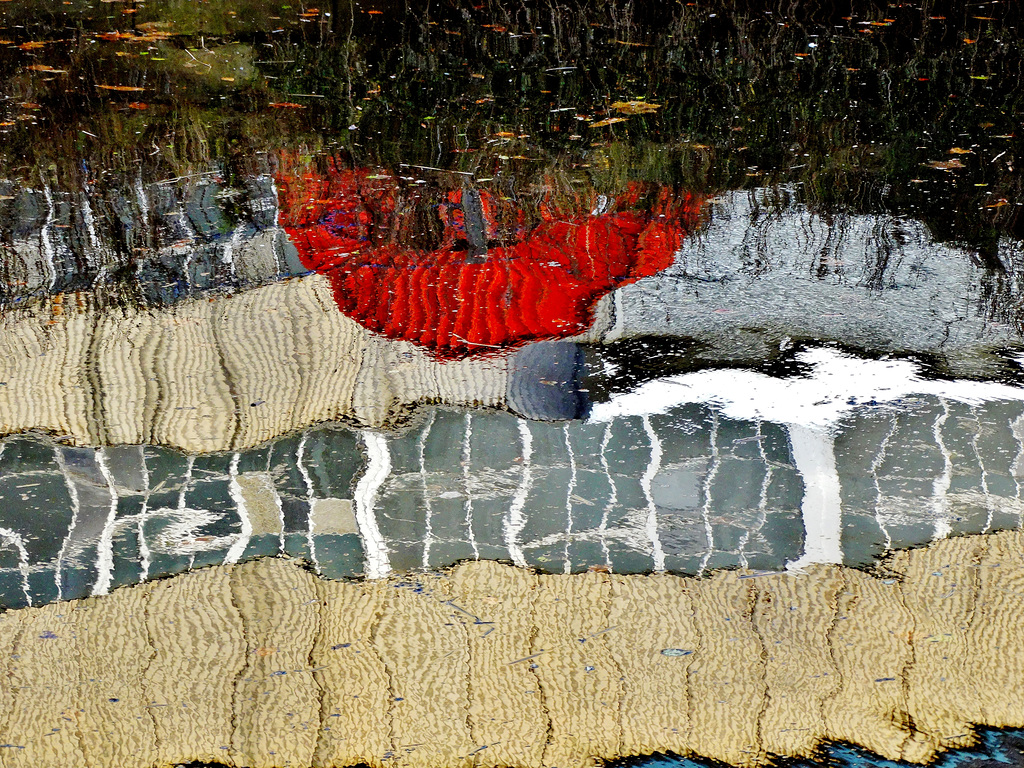 Reflection