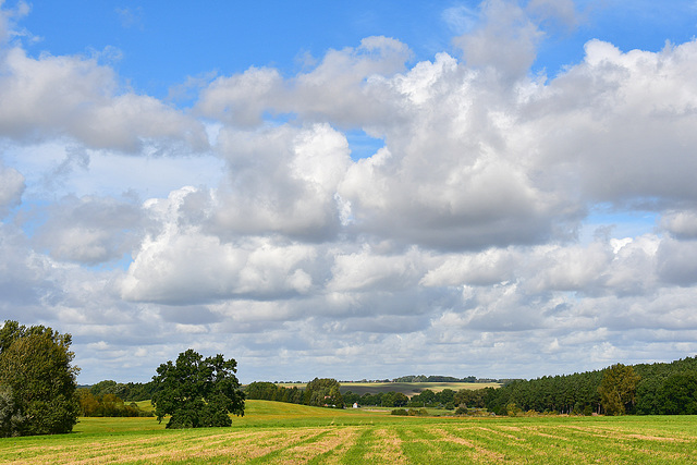 Landschaft bei Sponholz (1)