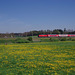 BÖ0033860