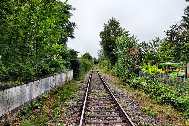 RLE-Bahnstrecke Hamm–Lippborg (Hamm) / 6.07.2024