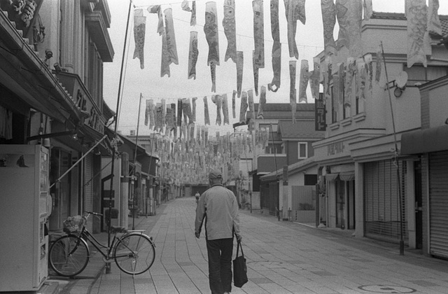 Morning street with carp