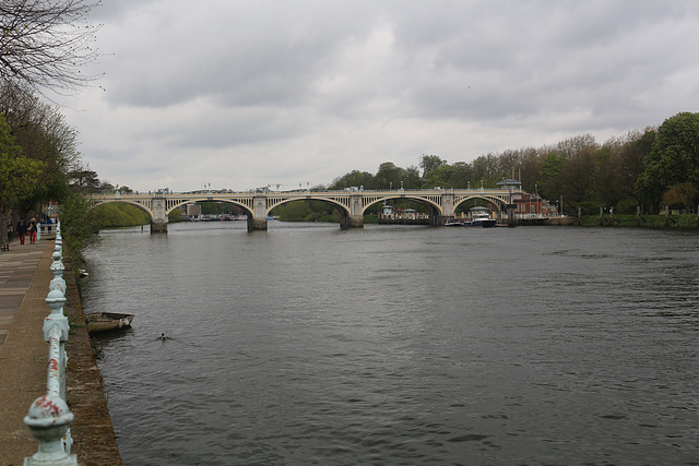 The Thames Path - Teddington to Kew Bridge, north bank