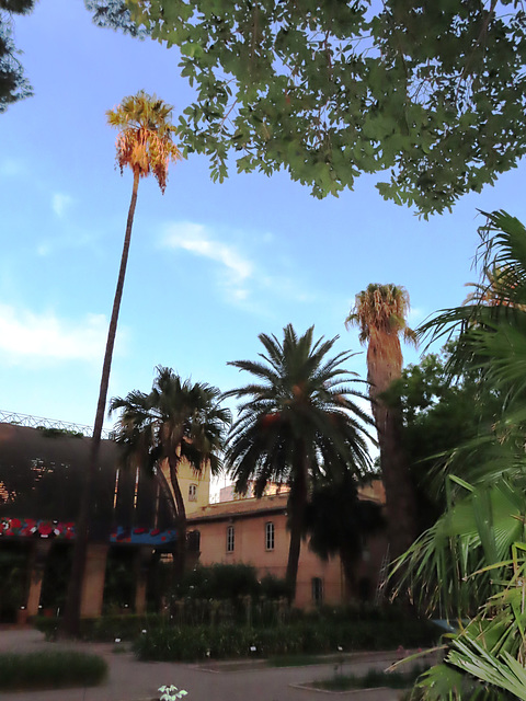 Valencia: Jardín botánico, 42